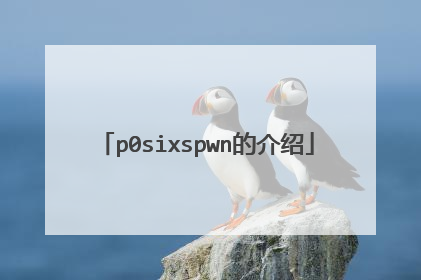 p0sixspwn的介绍