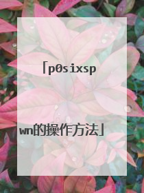 p0sixspwn的操作方法