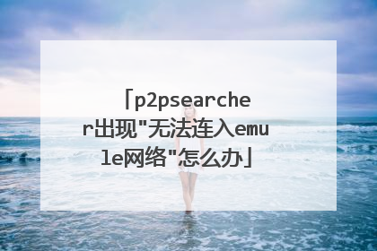 p2psearcher出现
