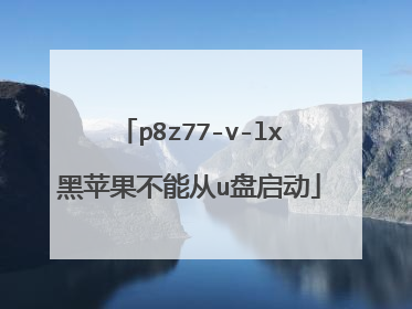 p8z77-v-lx黑苹果不能从u盘启动