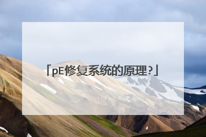 pE修复系统的原理?