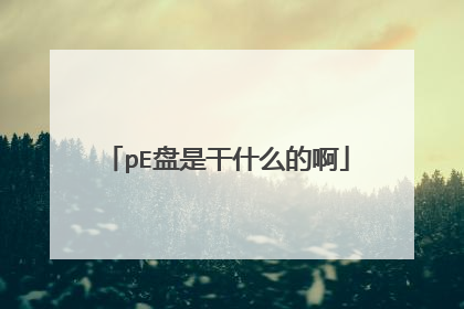 pE盘是干什么的啊