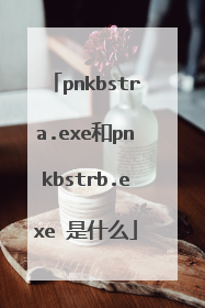 pnkbstra.exe和pnkbstrb.exe 是什么