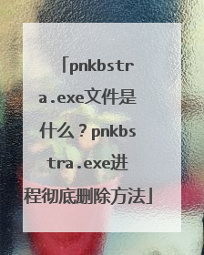 pnkbstra.exe文件是什么?pnkbstra.exe进程彻底删除方法