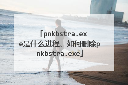 pnkbstra.exe是什么进程、如何删除pnkbstra.exe