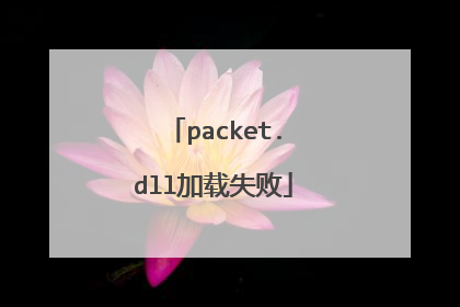 packet.dll加载失败