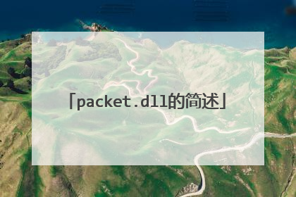 packet.dll的简述