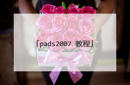 pads2007 教程