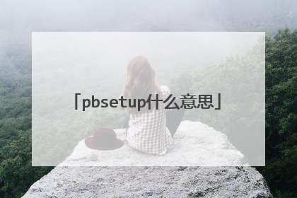 pbsetup什么意思