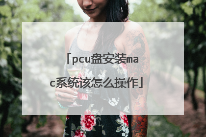 pcu盘安装mac系统该怎么操作