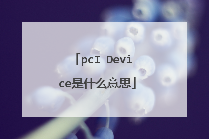 pcI Device是什么意思