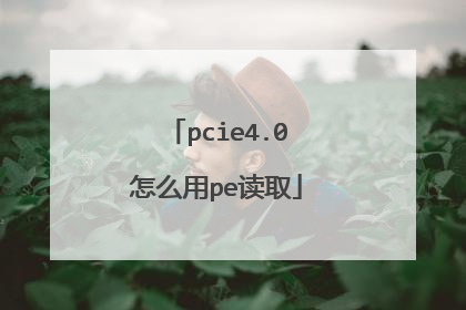 pcie4.0怎么用pe读取