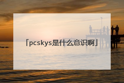 pcskys是什么意识啊