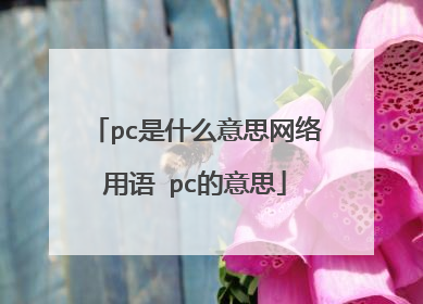 pc是什么意思网络用语 pc的意思
