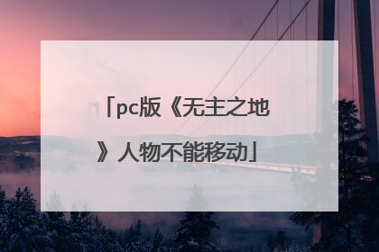 pc版《无主之地》人物不能移动