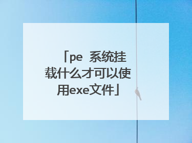 pe 系统挂载什么才可以使用exe文件