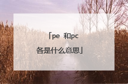 pe 和pc各是什么意思