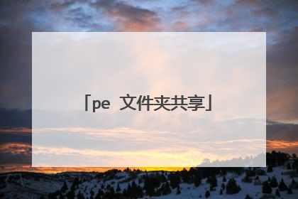 pe 文件夹共享