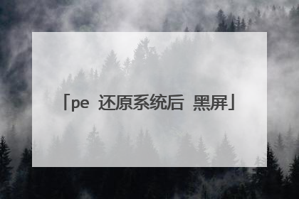 pe 还原系统后 黑屏