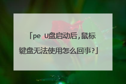 pe U盘启动后,鼠标键盘无法使用怎么回事?