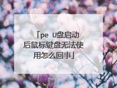 pe U盘启动后鼠标键盘无法使用怎么回事