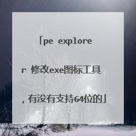 pe explorer 修改exe图标工具,有没有支持64位的