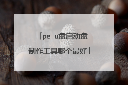 pe u盘启动盘制作工具哪个最好