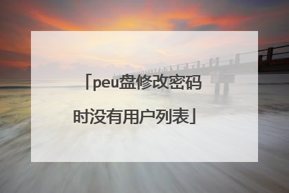 peu盘修改密码时没有用户列表