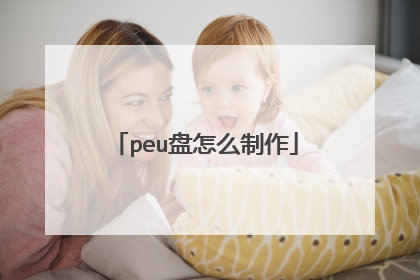 peu盘怎么制作