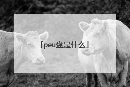 peu盘是什么