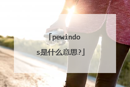 pewindos是什么意思?