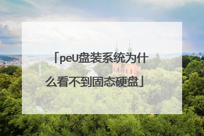 peU盘装系统为什么看不到固态硬盘