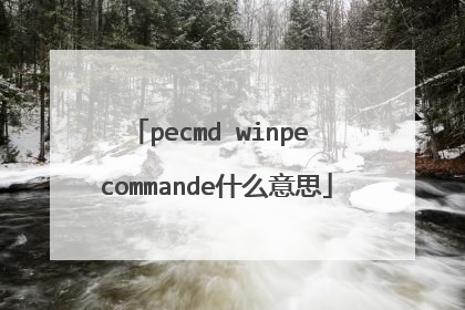 pecmd winpe commande什么意思