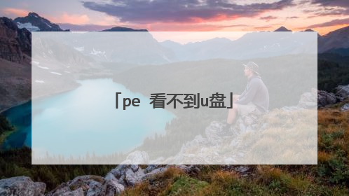 pe 看不到u盘