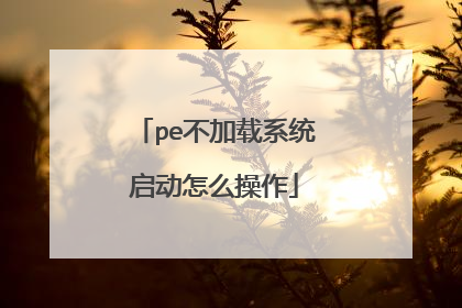 pe不加载系统启动怎么操作