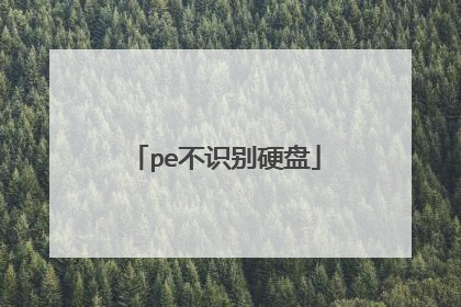 pe不识别硬盘