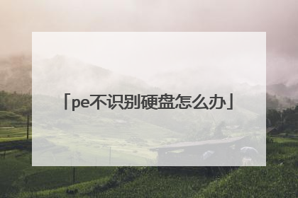 pe不识别硬盘怎么办