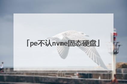 pe不认nvme固态硬盘