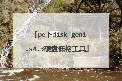 pe下disk genius4.3硬盘低格工具