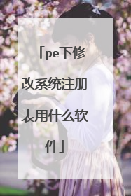 pe下修改系统注册表用什么软件