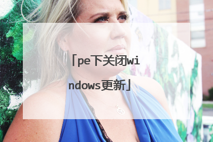 pe下关闭windows更新