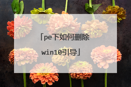 pe下如何删除win10引导