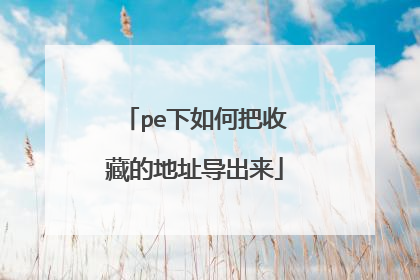 pe下如何把收藏的地址导出来
