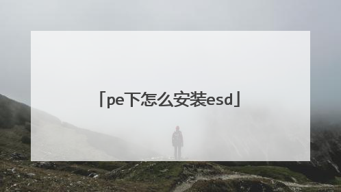 pe下怎么安装esd