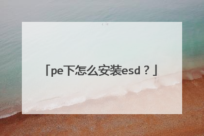 pe下怎么安装esd？