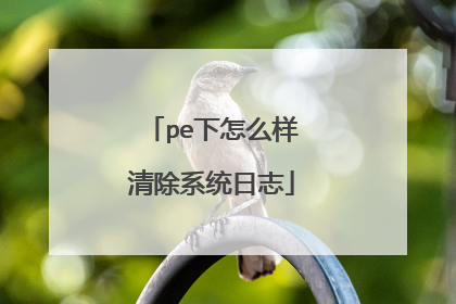 pe下怎么样清除系统日志