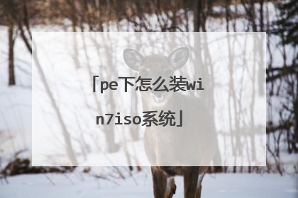 pe下怎么装win7iso系统