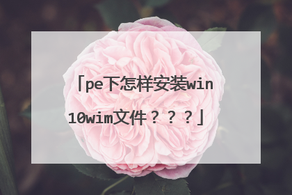 pe下怎样安装win10wim文件???