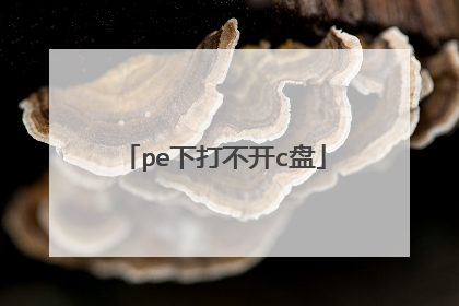 pe下打不开c盘