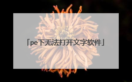 pe下无法打开文字软件